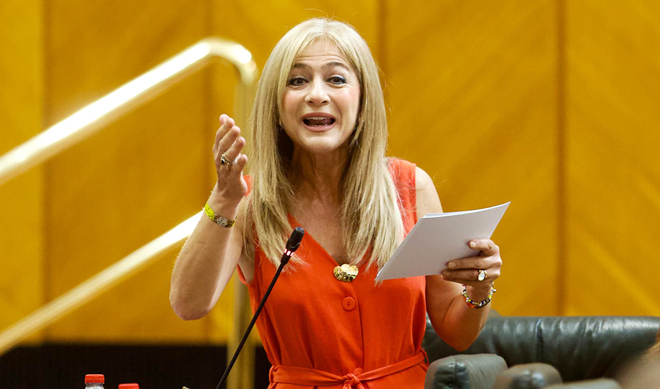 
			      Patricia del Pozo informa en el Parlamento andaluz sobre las actuaciones que se van a llevar a cabo en el conservatorio			    
			  